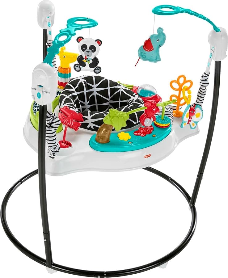 Jumperoo Bouncer Activity Center Developmental