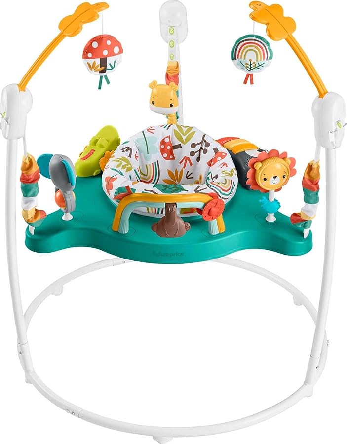 Jumperoo Bouncer Whimsical  Activity